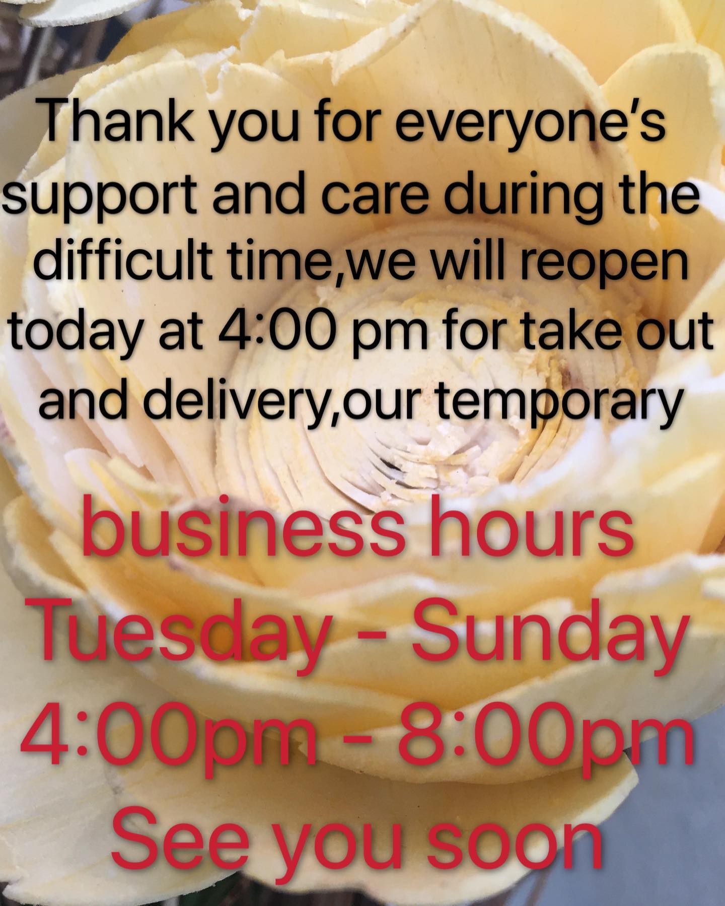Utamaro Sushi Bar 1900 Main St #107, Sarasota