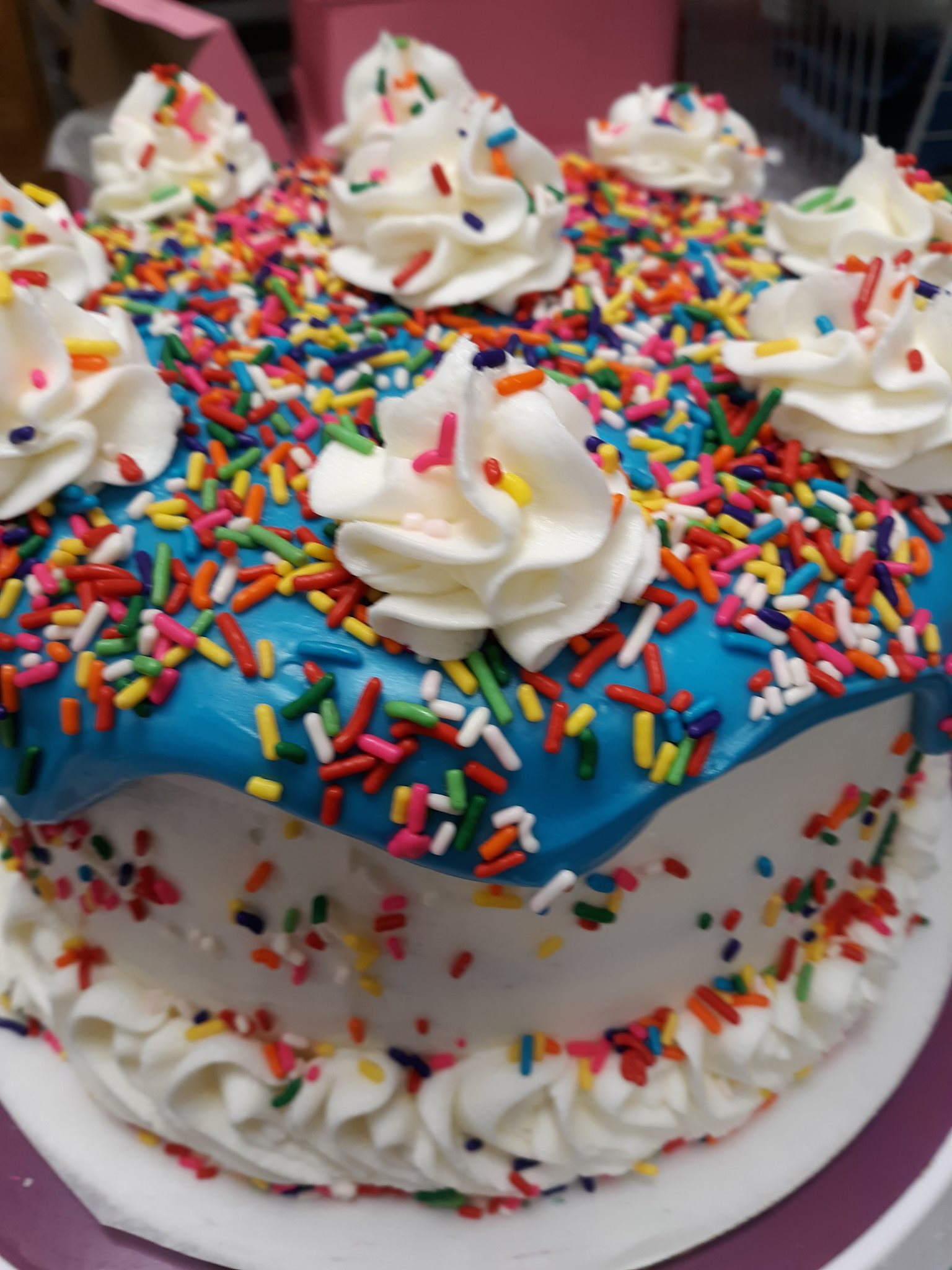 Sugar Island Cupcakes And Bakery 5575 A1A S, St. Augustine