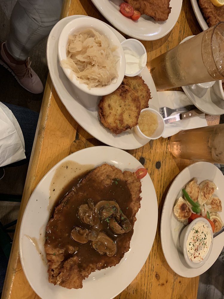 Mr. Dunderbak's Biergarten and Brewery 14929 Bruce B Downs Blvd, Tampa