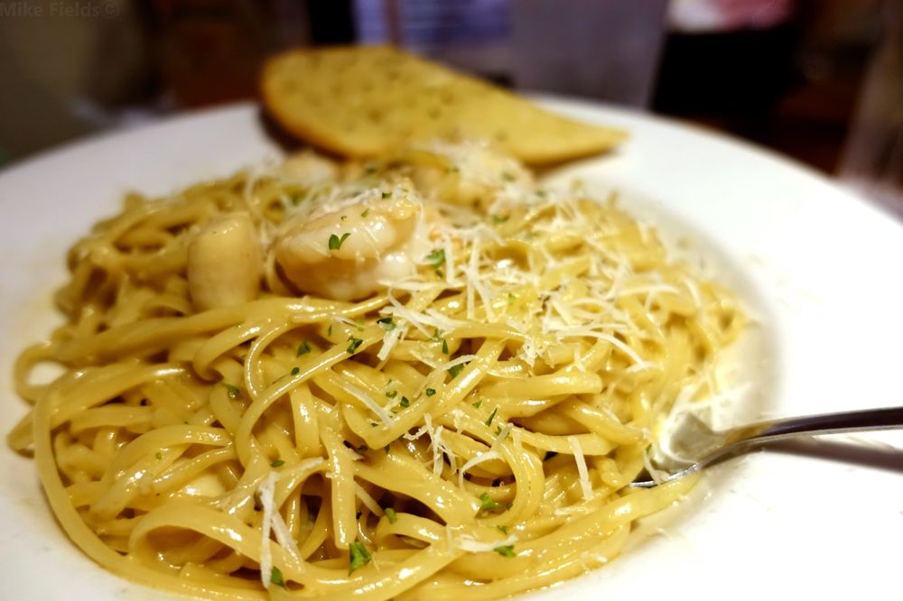 Shells Seafood 202 S Dale Mabry Hwy, Tampa