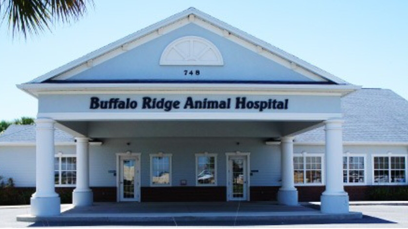 VCA Buffalo Ridge Animal Hospital