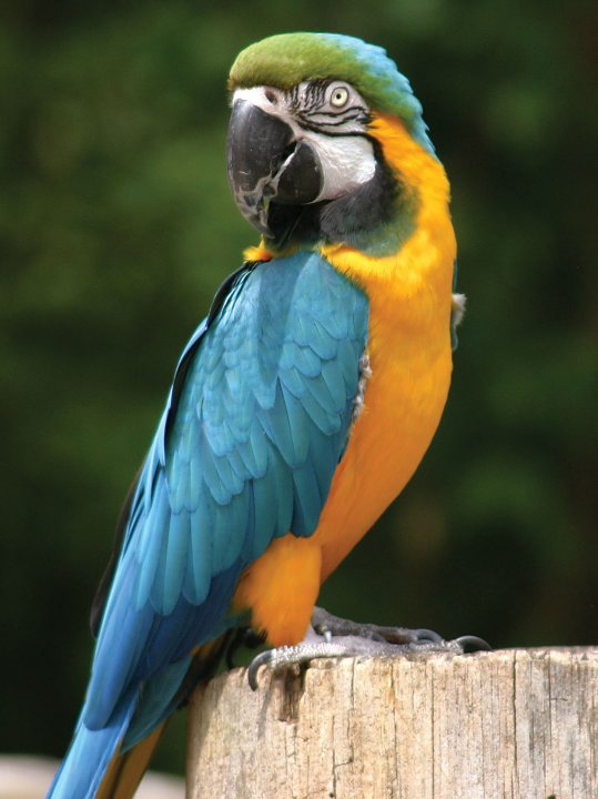 Photo credit: yellowpages