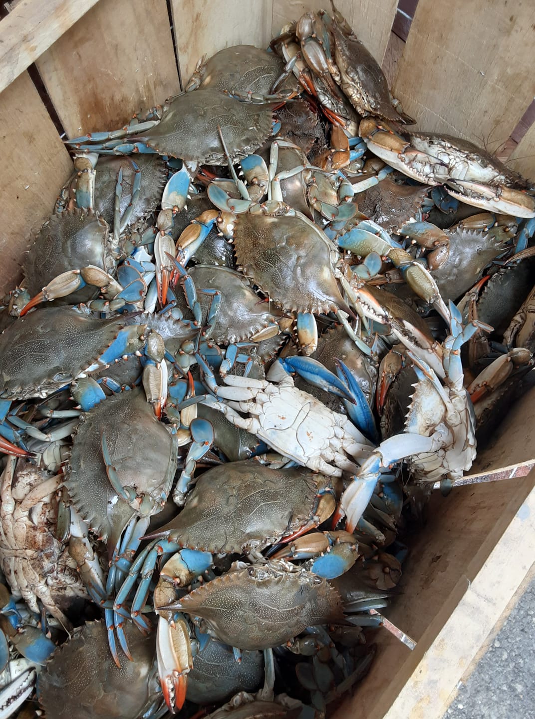 Castaway Seafood 6125 Macon Rd Suite J, Columbus