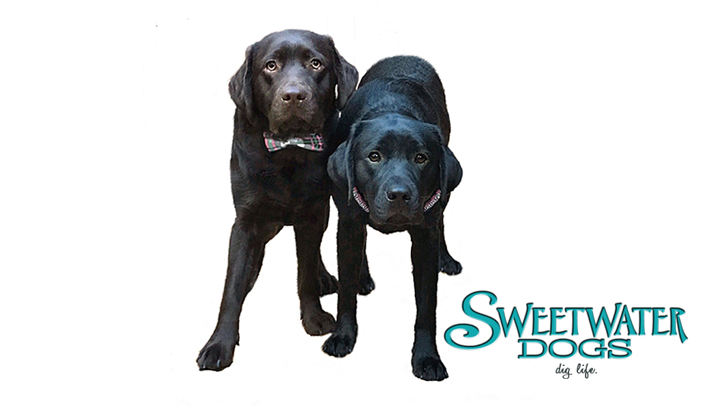 Sweetwater Dogs