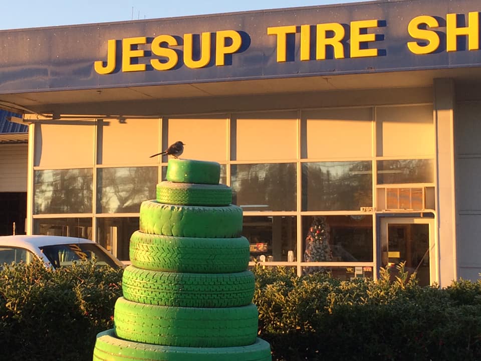 Jesup Tire Shop Inc