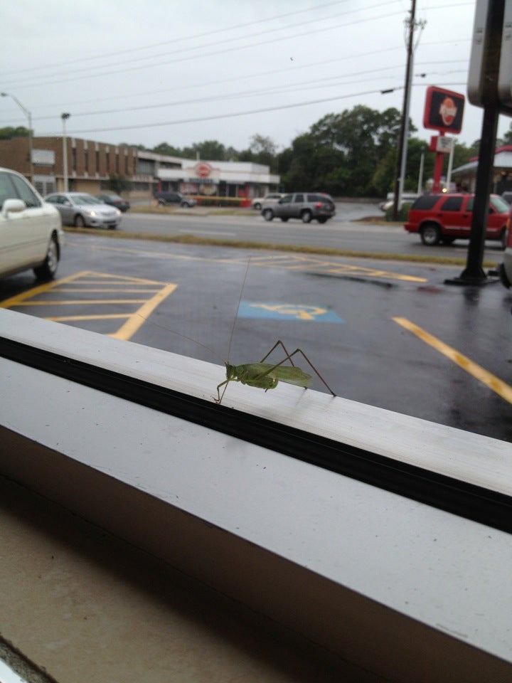 Dairy Queen Macon