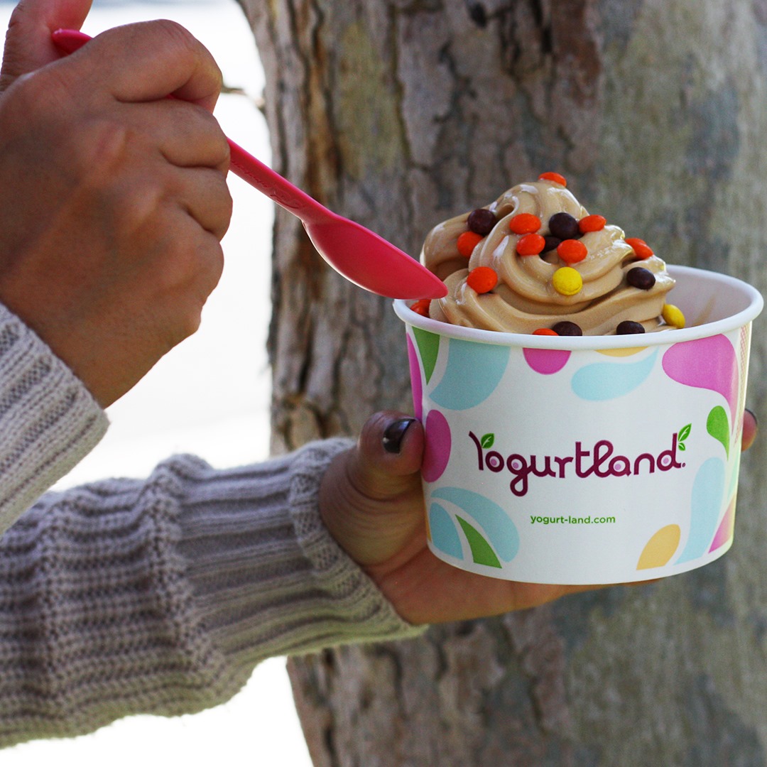 Yogurtland 4880 Peachtree Corners Cir, Peachtree Corners