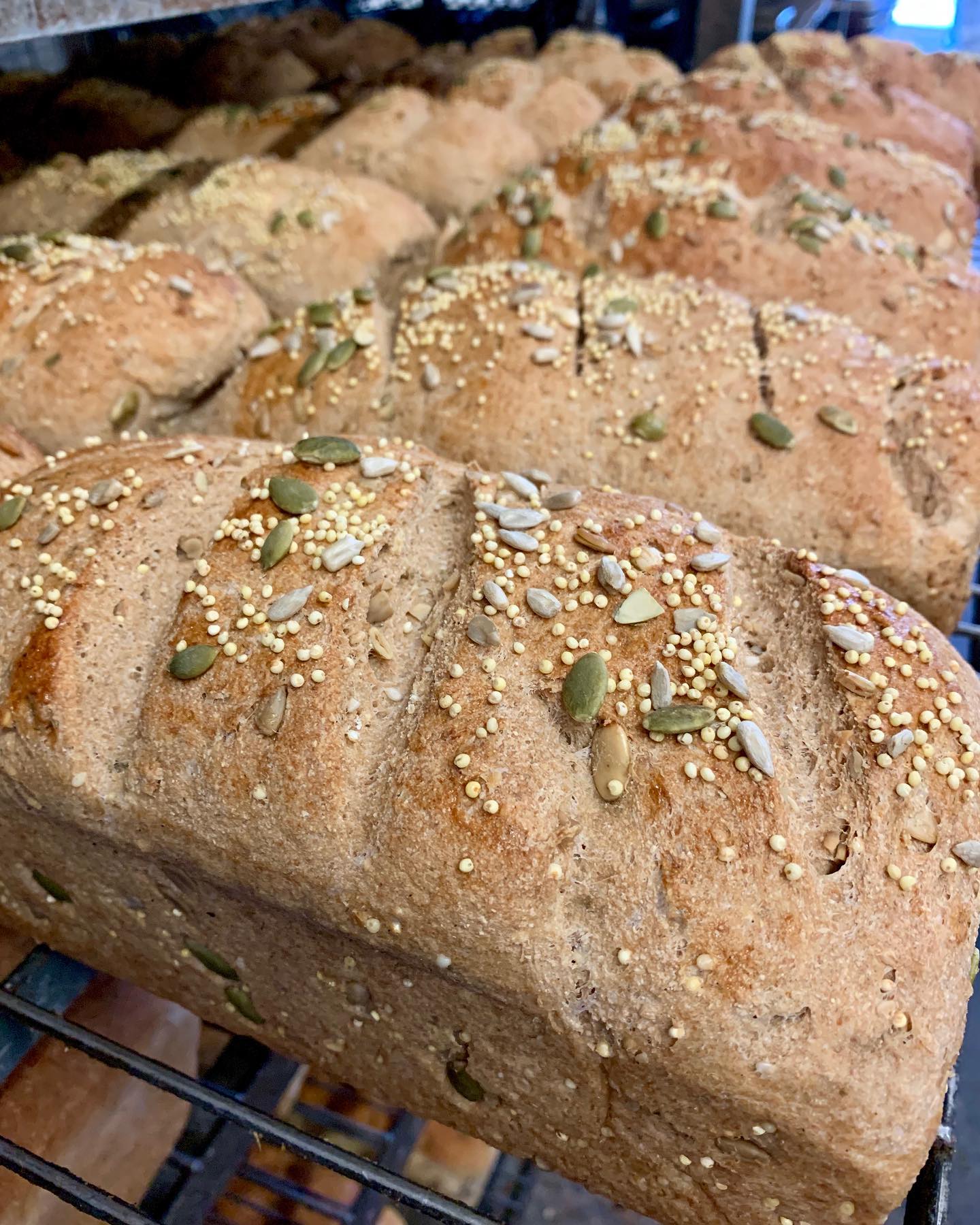 Great Harvest Bread Co. Meridian 12570 W Fairview Ave, Boise