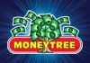 Money Tree Boise