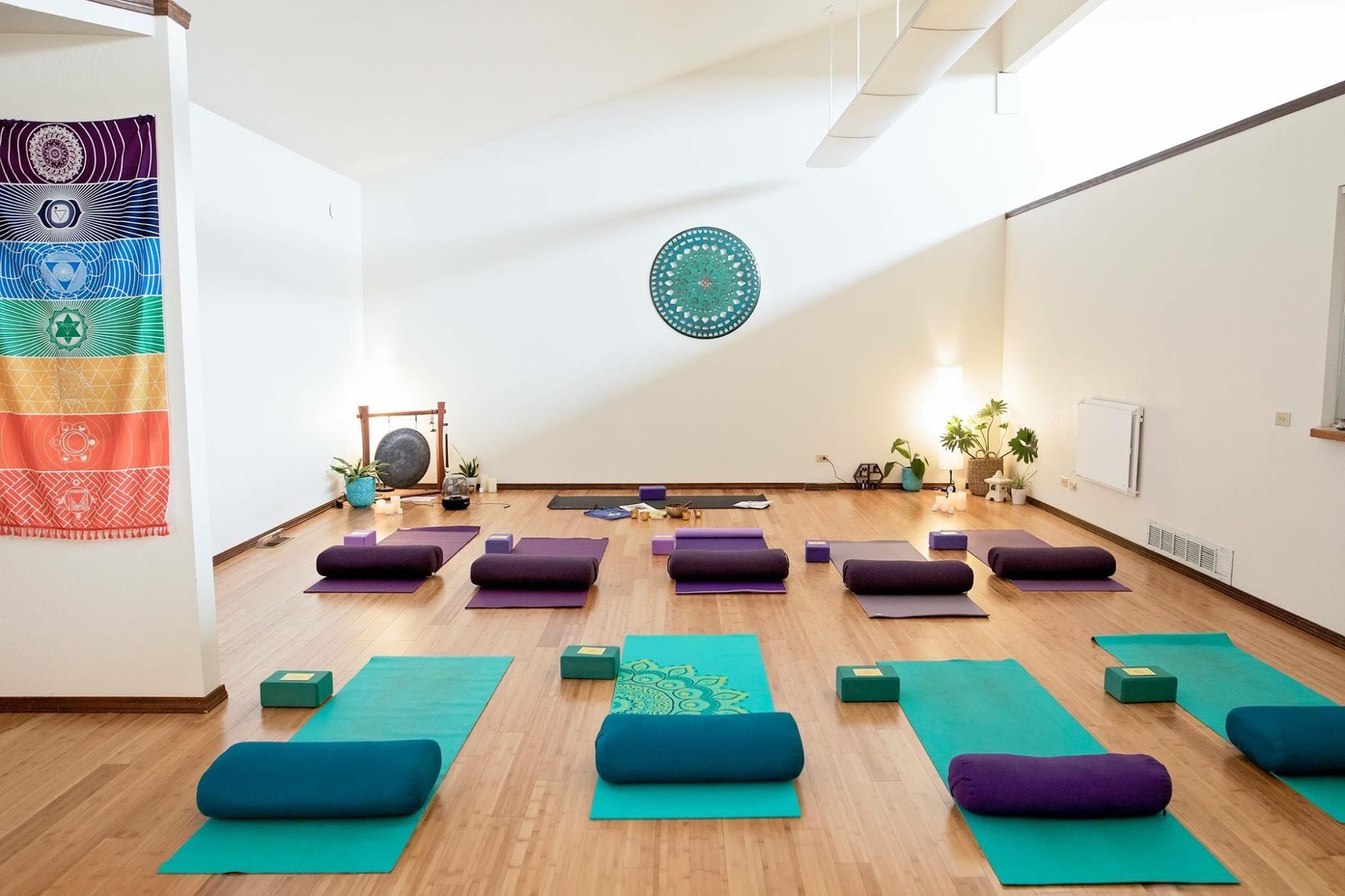 Zen Riot Yoga & Wellness Studio