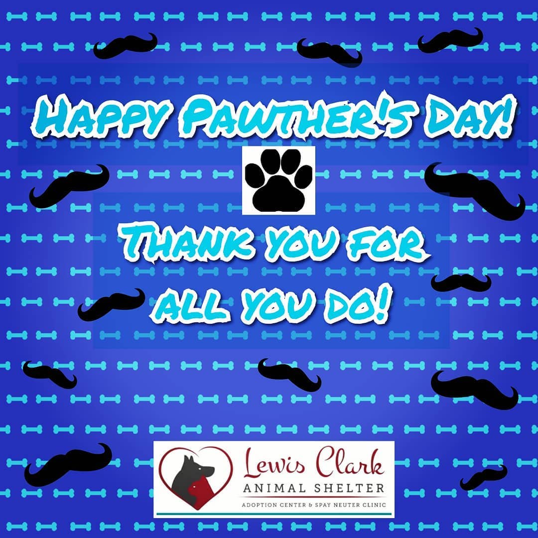 Humane Society Lewiston