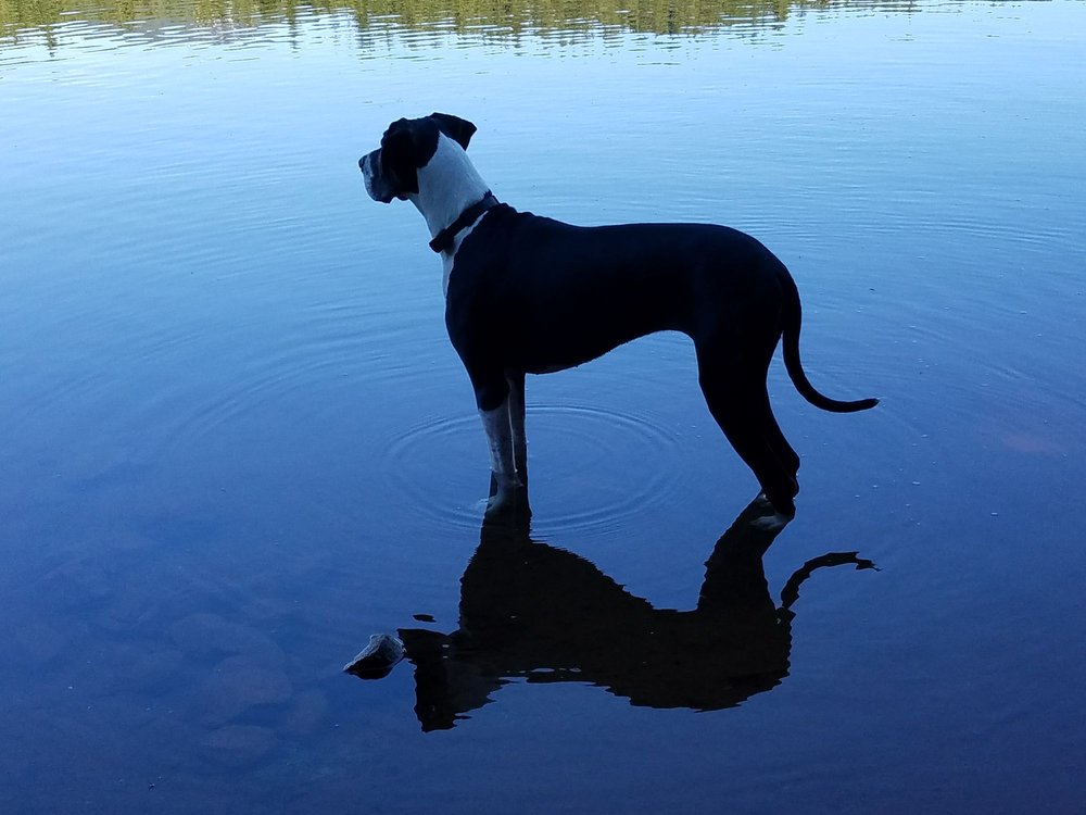 Photo credit: 