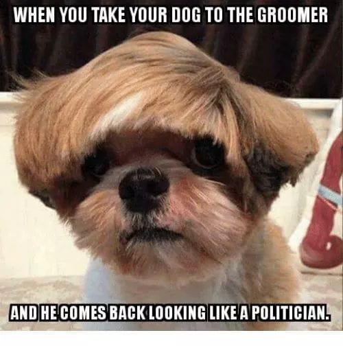 You Dirty Dog Twin Falls