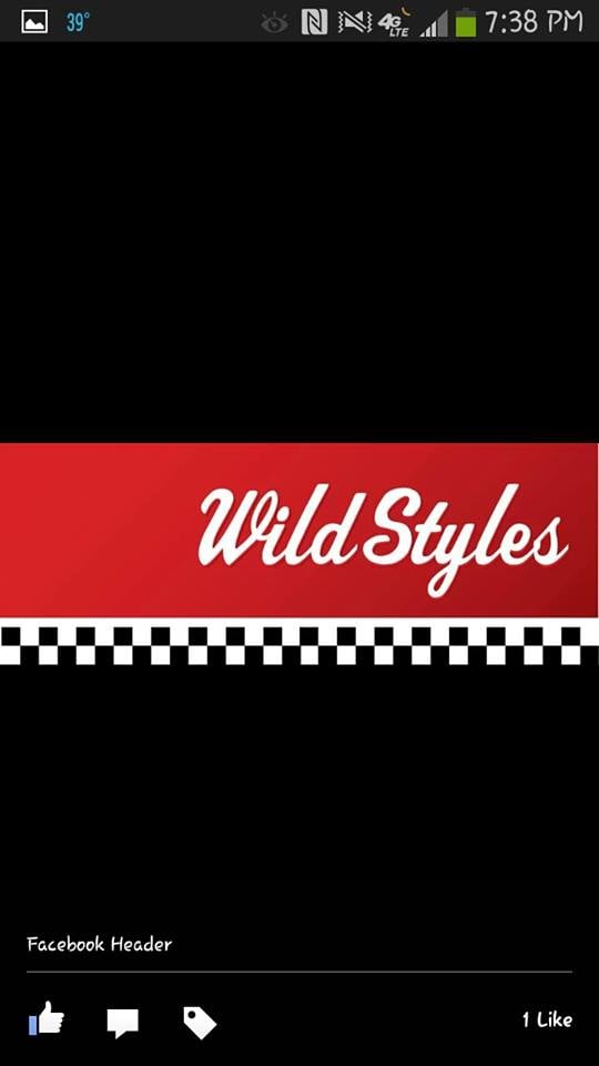 Wild Styles 500 Sanders St, Bethalto Illinois 62010