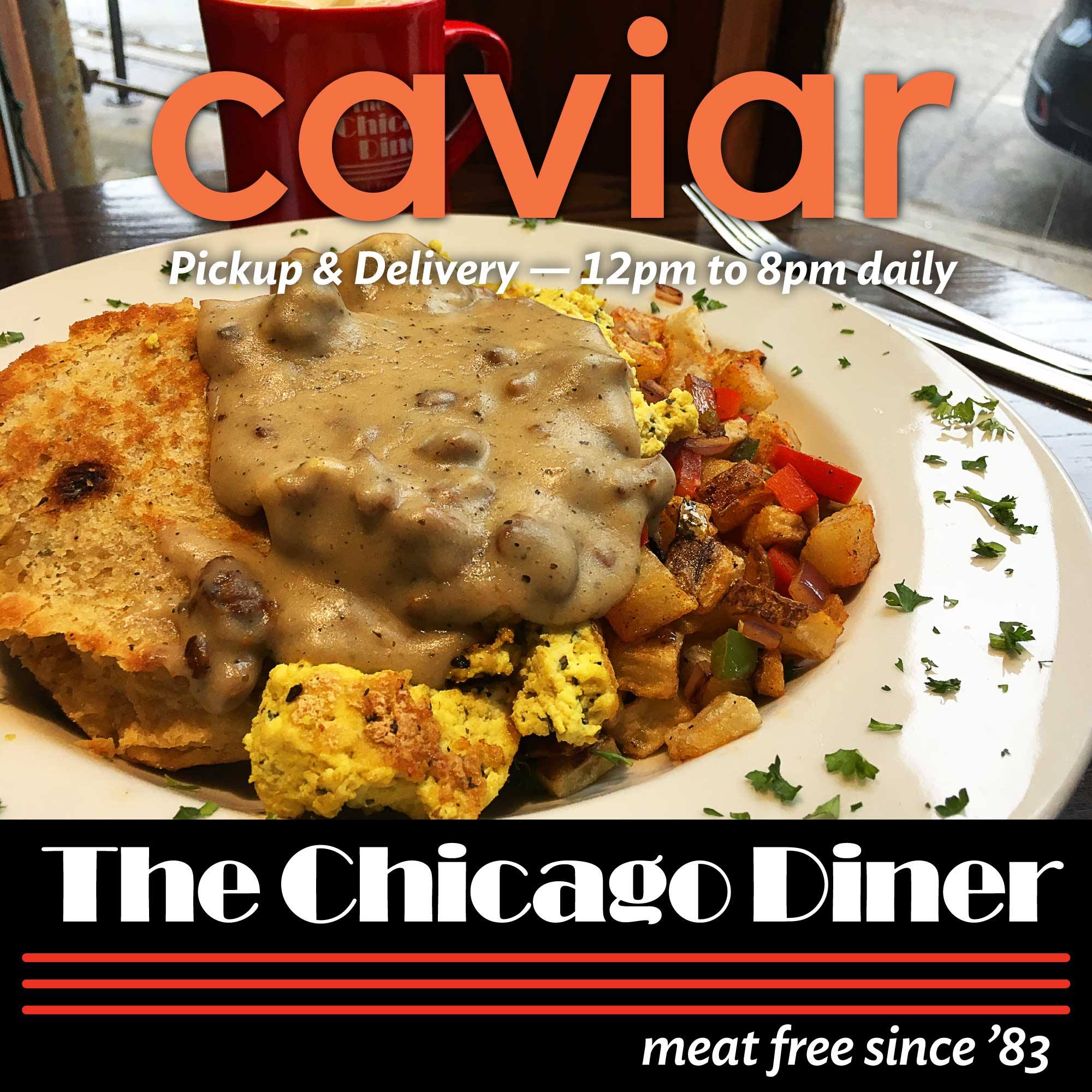 Chicago Diner 3411 N Halsted St, Chicago