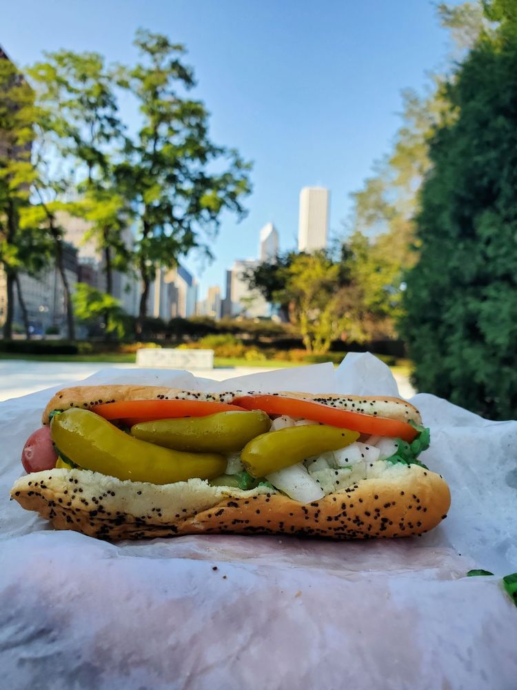 Devil Dawgs on State 767 S State St, Chicago
