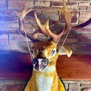 Countryside Saloon 2501 E Ballard Rd, Des Plaines