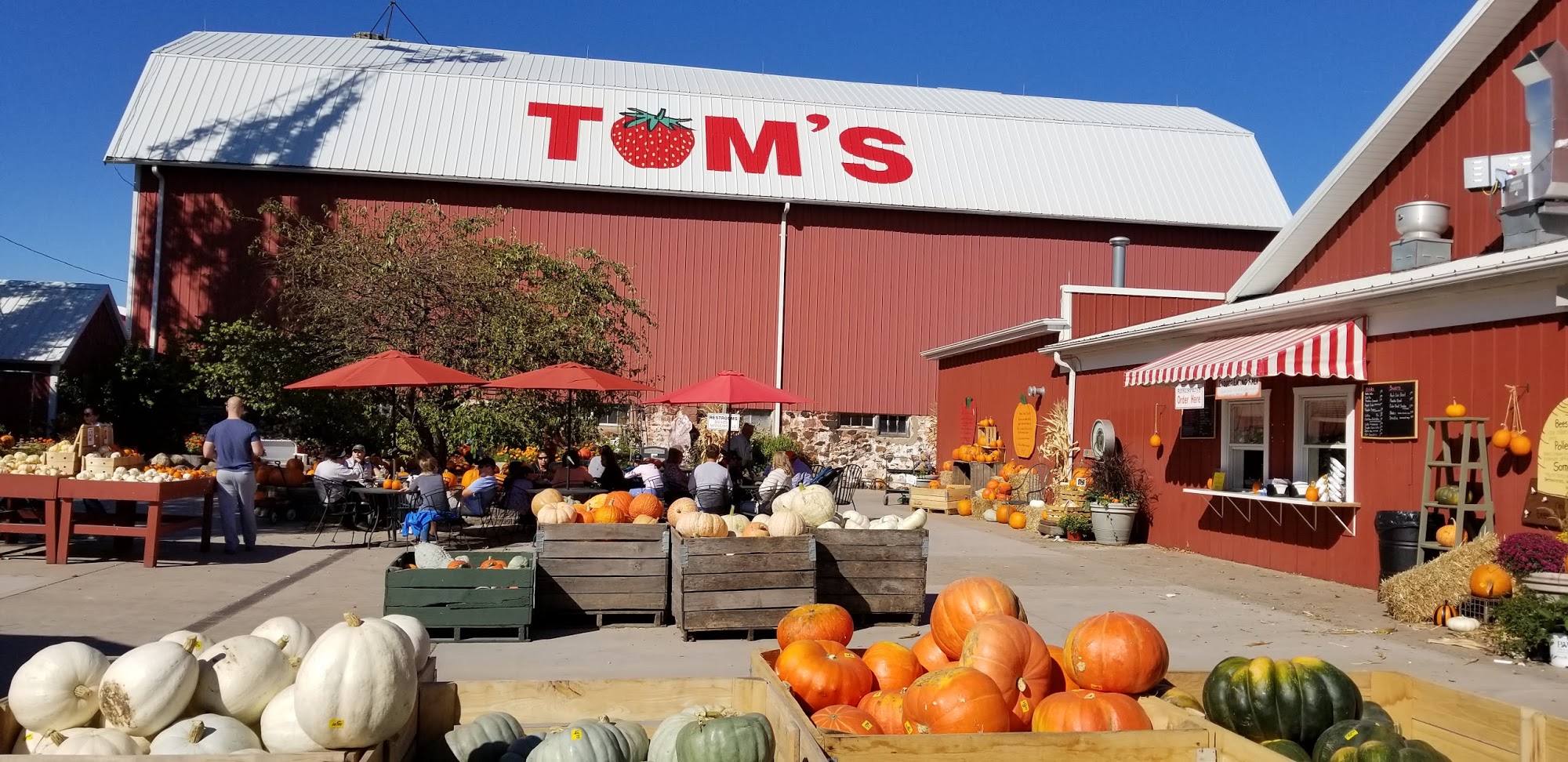 Tom's Farm Market | Garden Center | Bakery | Cafe | Gift Shop