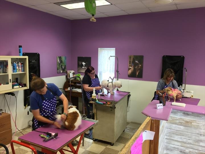 Char's Grooming Post 101 11th St, Marseilles Illinois 61341