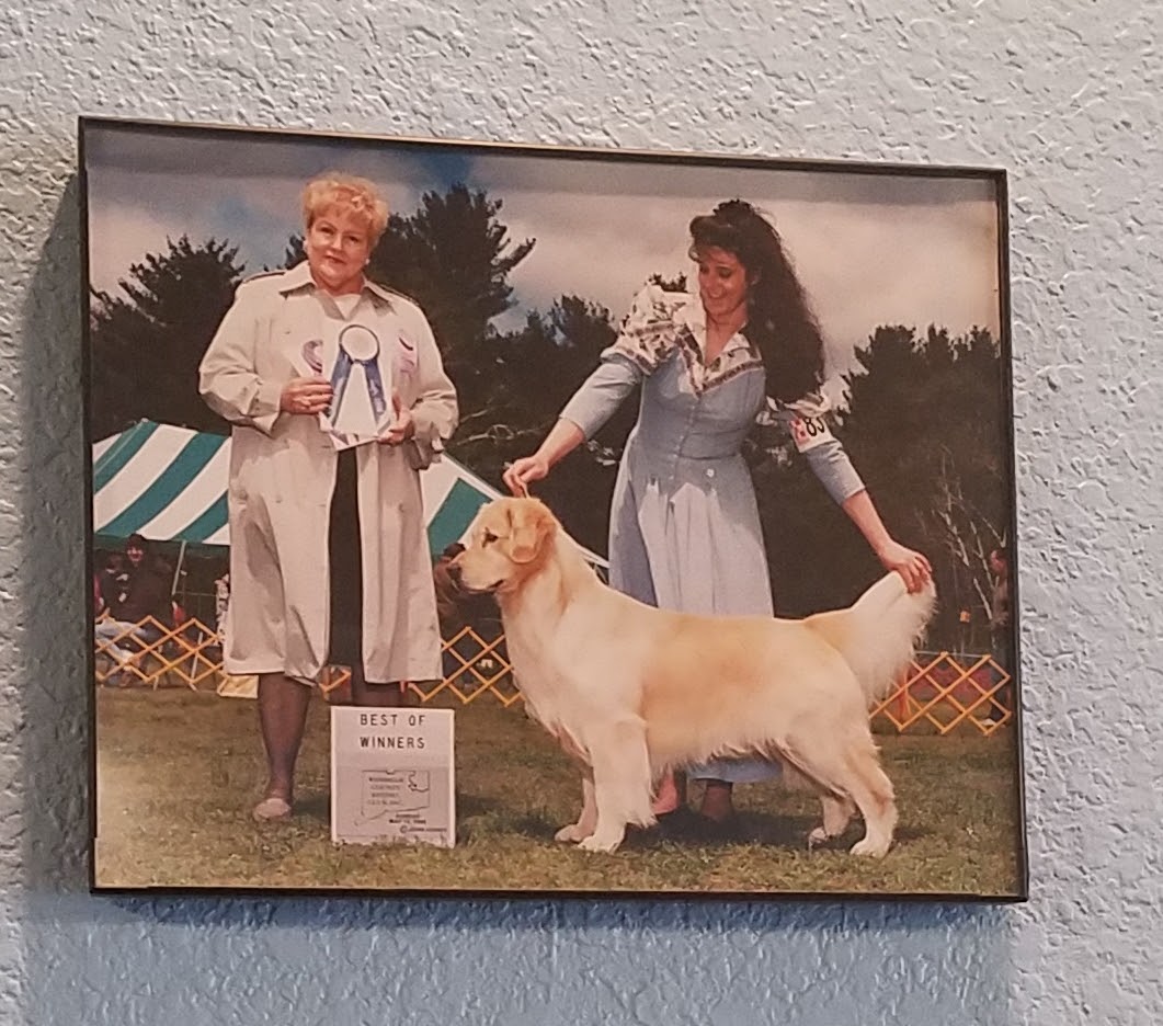 Groomingdales Pet Salon