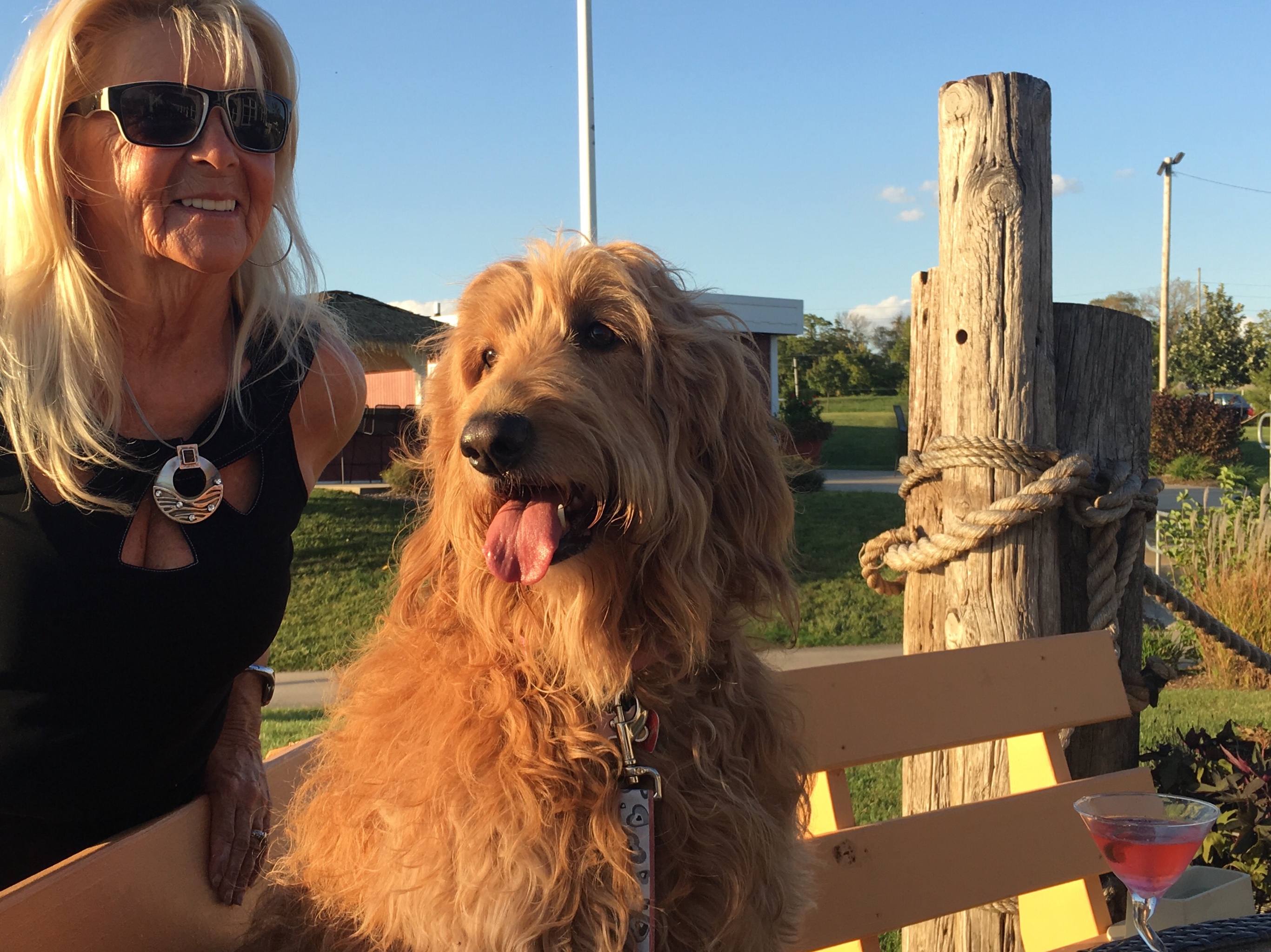 Photo credit: yellowpages