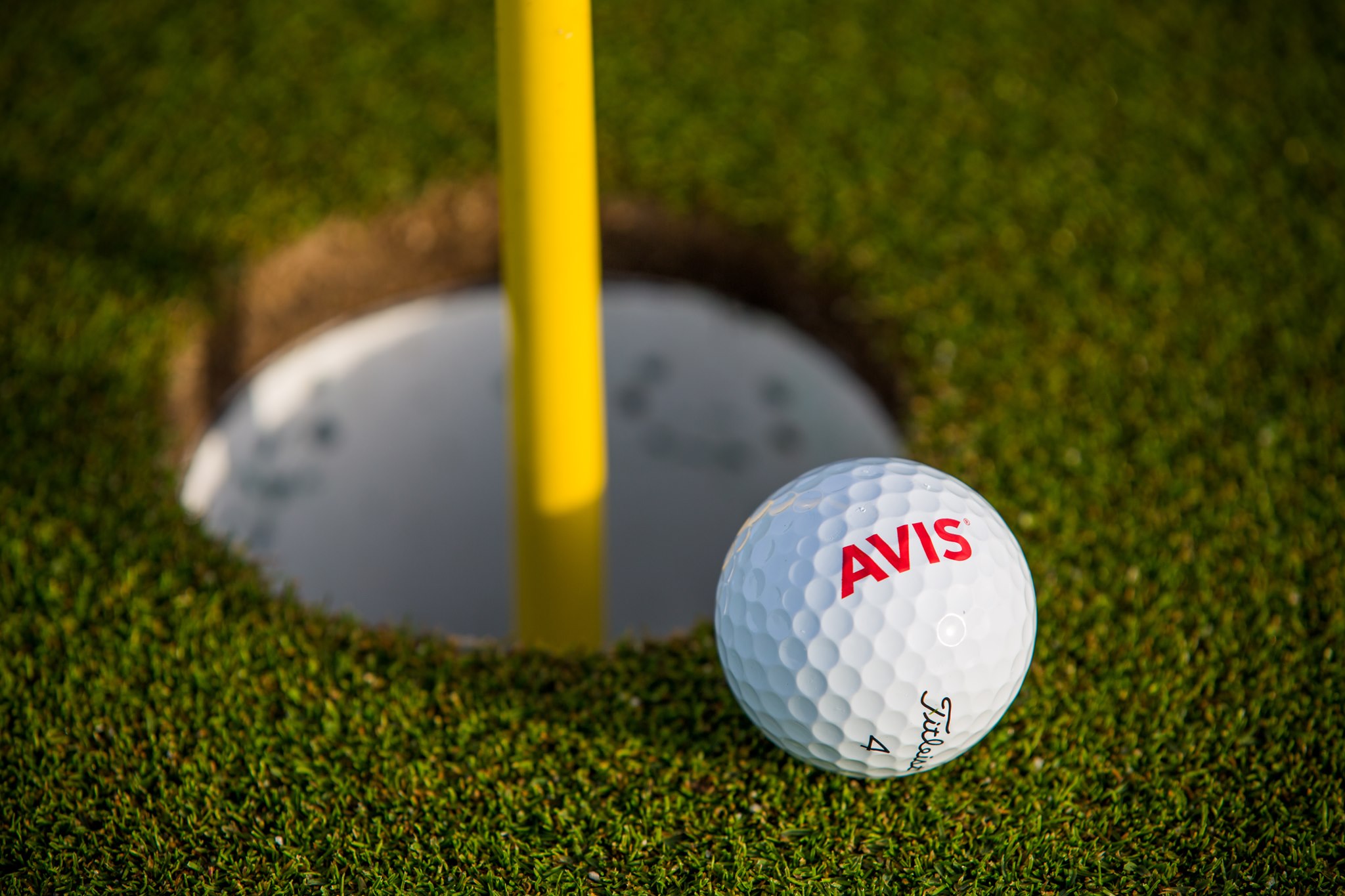 Avis Rent A Car Rockford