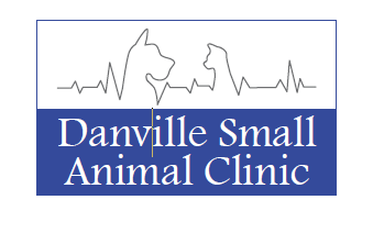 Photo credit: 