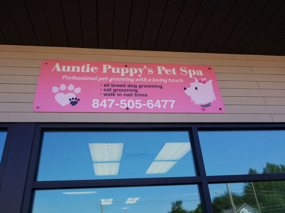 Auntie Puppy's Pet Spa, LLC 38028 N. Dilley's Road, 38028 N Dilleys Rd Suite A, Wadsworth Illinois 60083