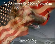 Pampered Pets Resort & Day Spa Edinburgh