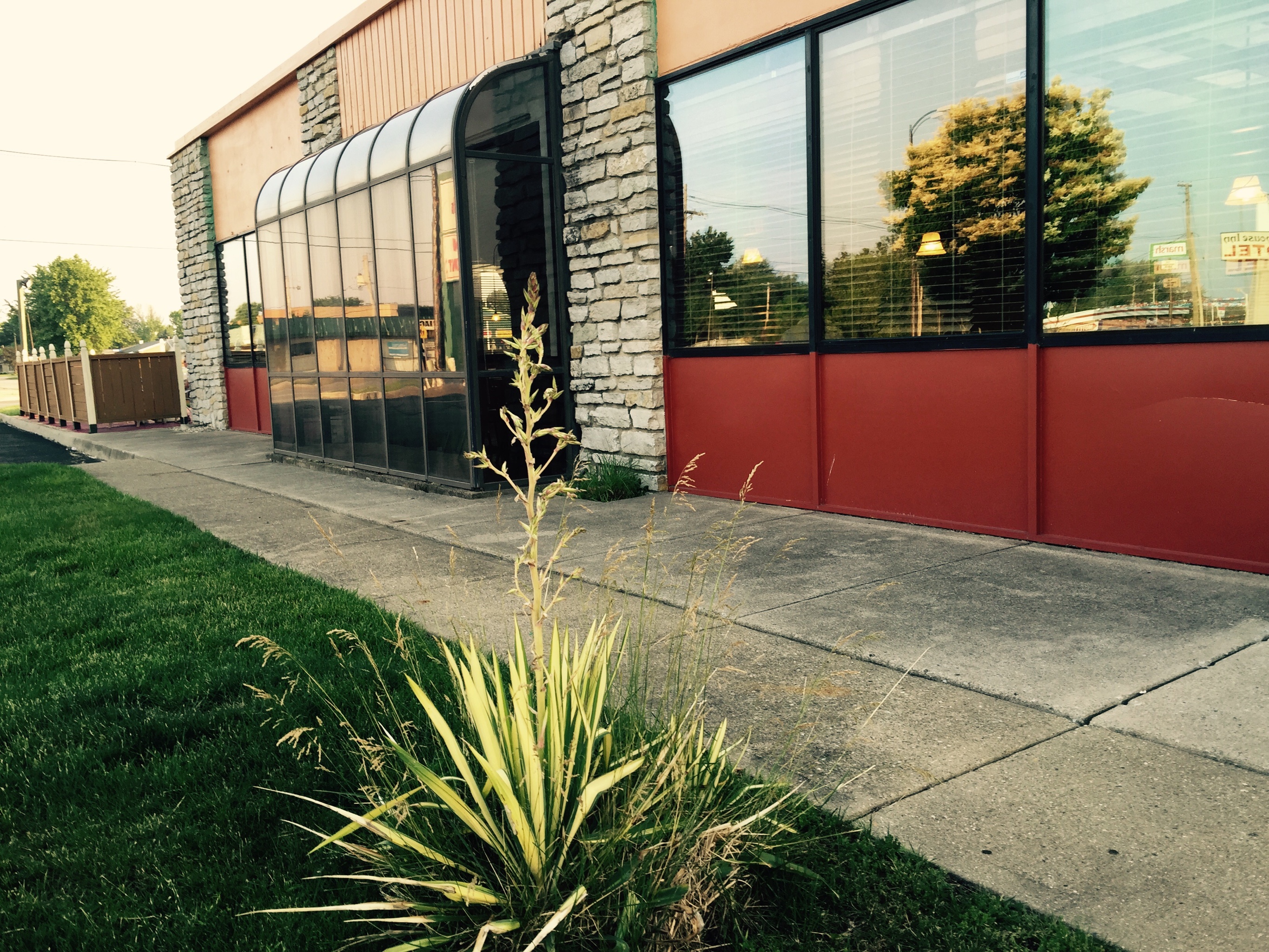 Photo credit: yellowpages