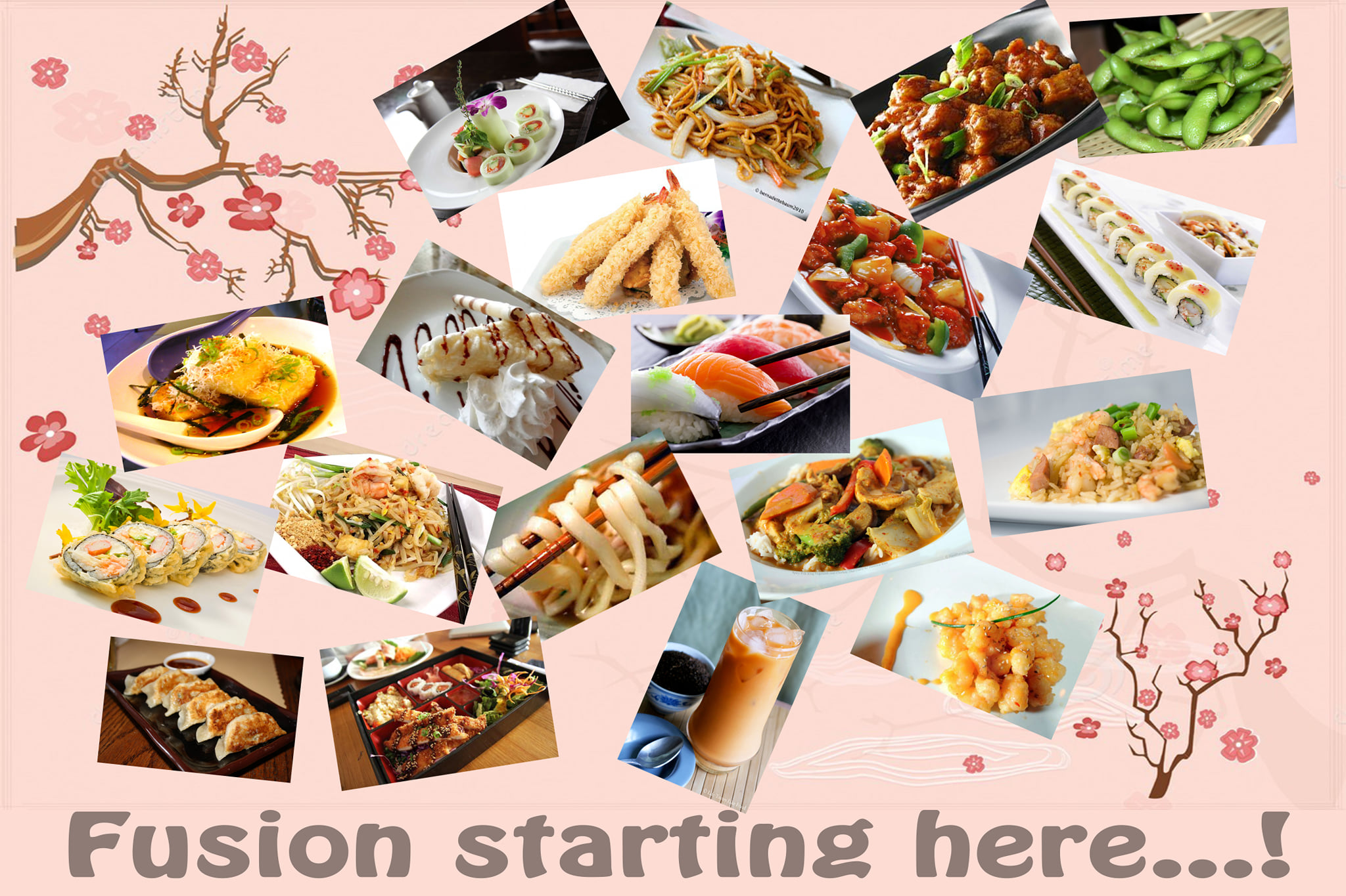 Hana Japanese Fusion Sushi & Grill 6905 S Emerson Ave Ste F, Indianapolis