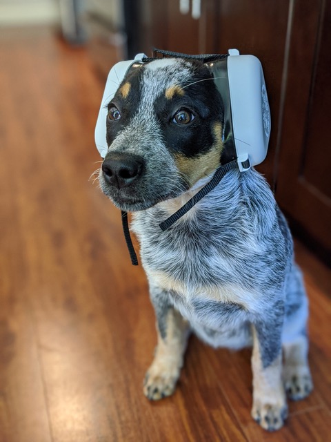 4 Paws Aviation Products