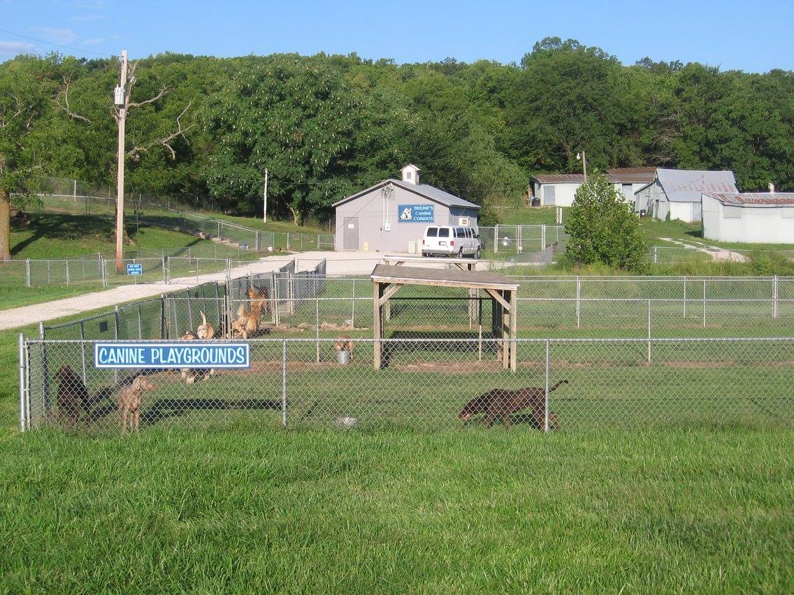 Triune Canine Training Center Lawrence