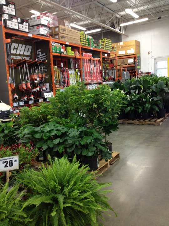 Home Depot Lexington