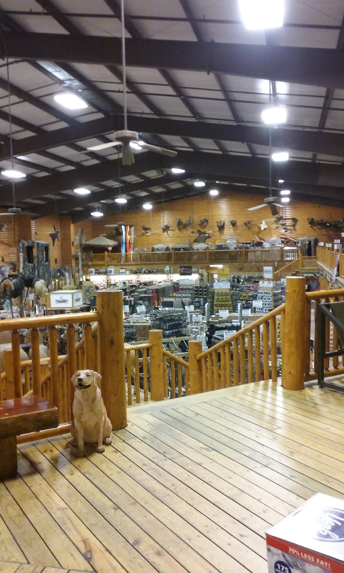 SIMMONS SPORTING GOODS - Bastrop LA - Hours, Directions, Reviews