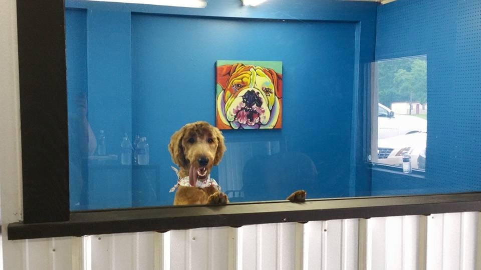 PUPPY KUTZ PET GROOMING & BOARDING Gonzales LA Hours, Directions