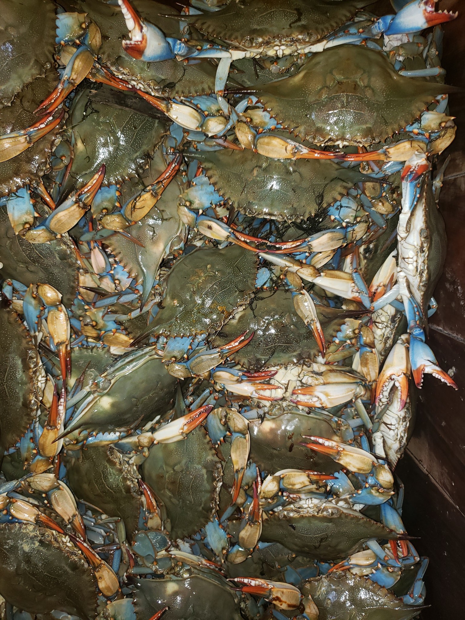Captain Sid's Seafood 1700 Lake Ave, Metairie