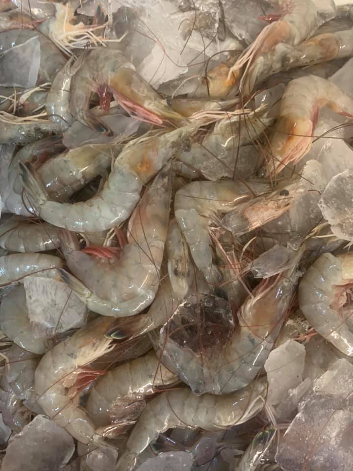 Lil Kats Seafood 8006 W Metairie Ave, Metairie