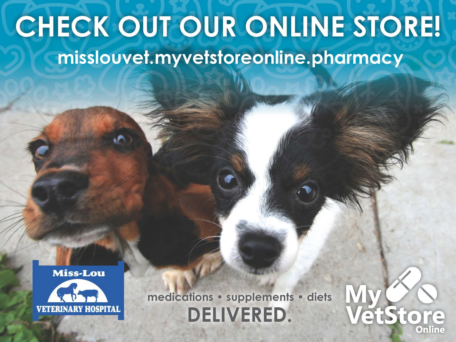 Miss-Lou Veterinary Clinic 4895 Hwy 84 W, Vidalia Louisiana 71373