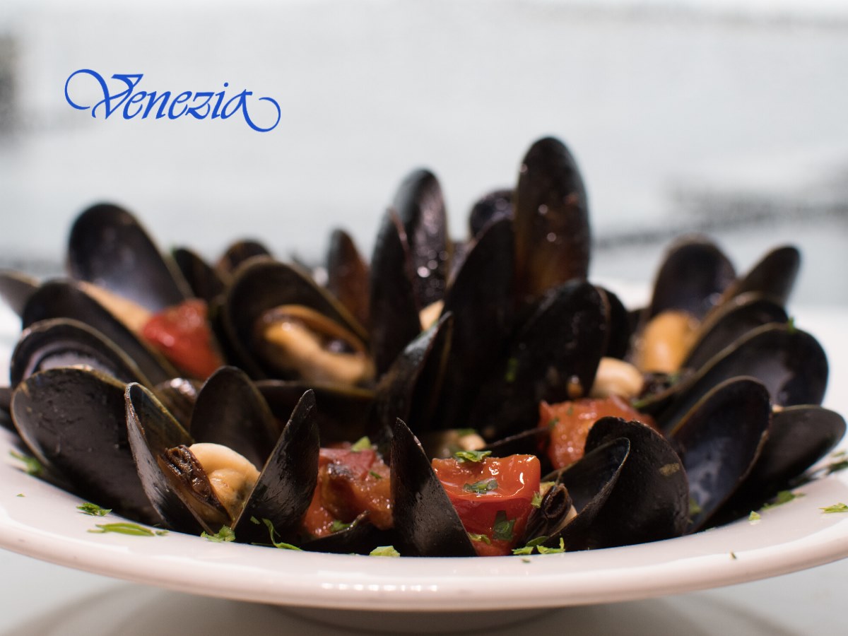 Venezia Restaurant Boston 20 Ericsson St, Boston