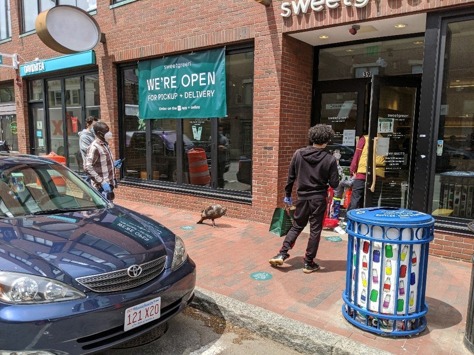 sweetgreen 39 John F. Kennedy St, Cambridge