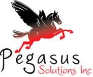 Pegasus Solutions, Inc.