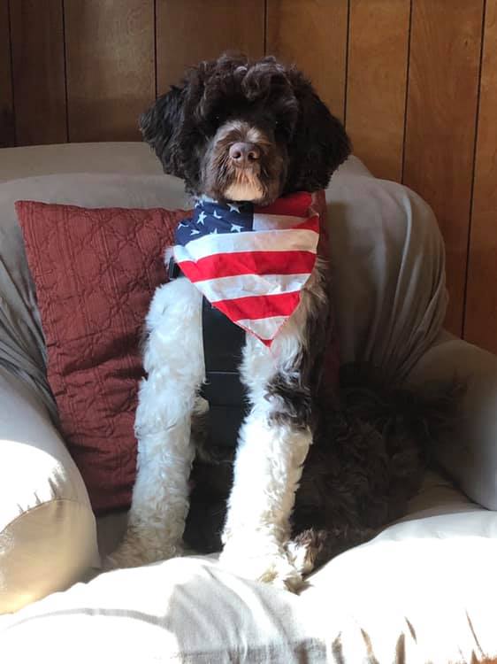 Silk Road Oils Inc Leicester