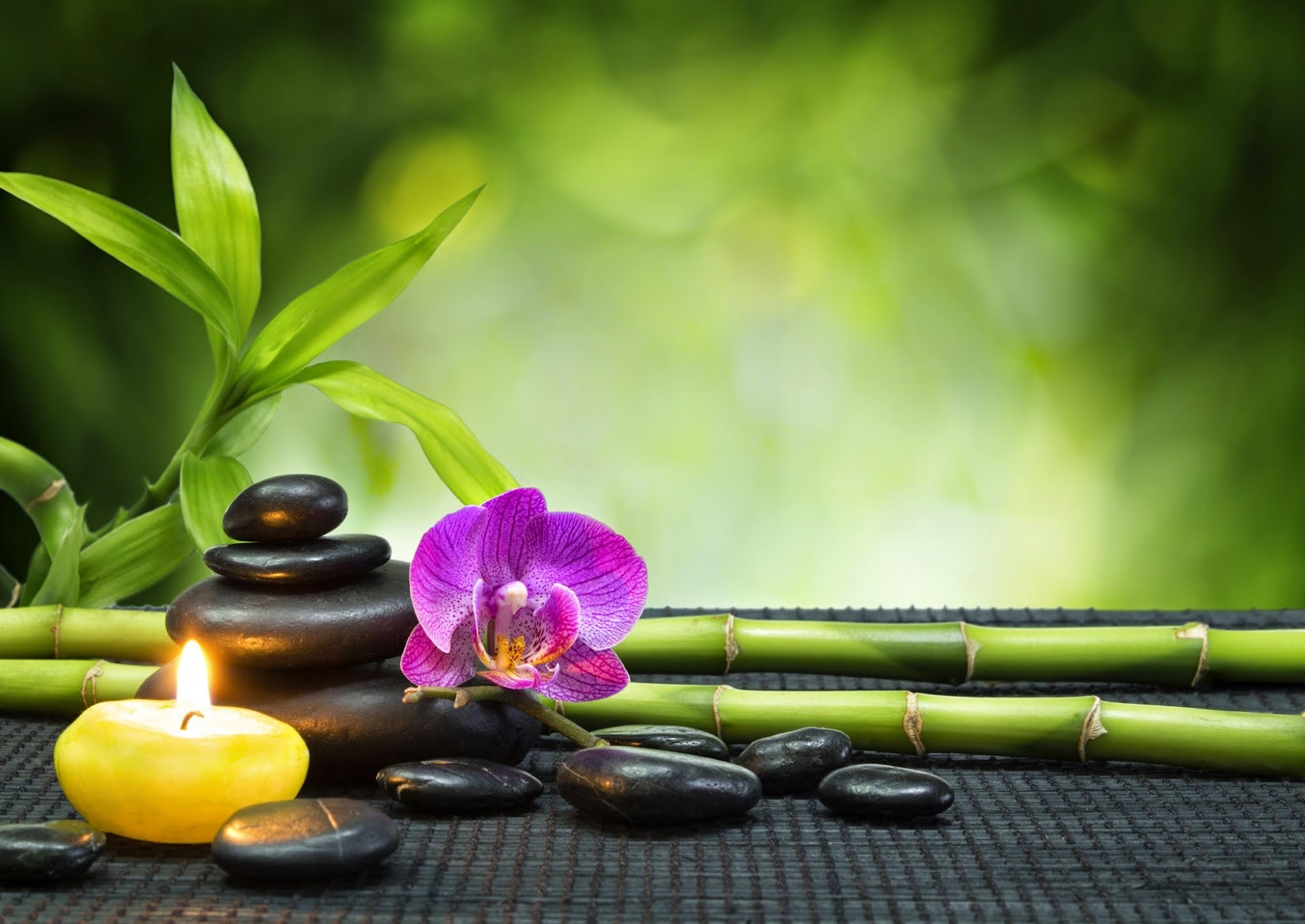 Stepping Stone Acupuncture & Wellness