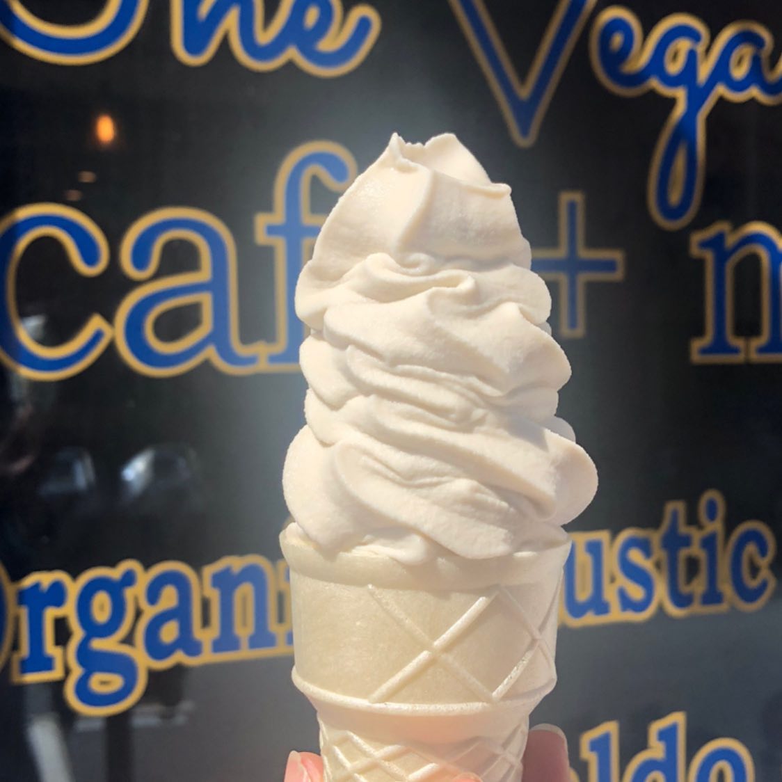The Vegan Nest Café 6, Waldo St, Worcester