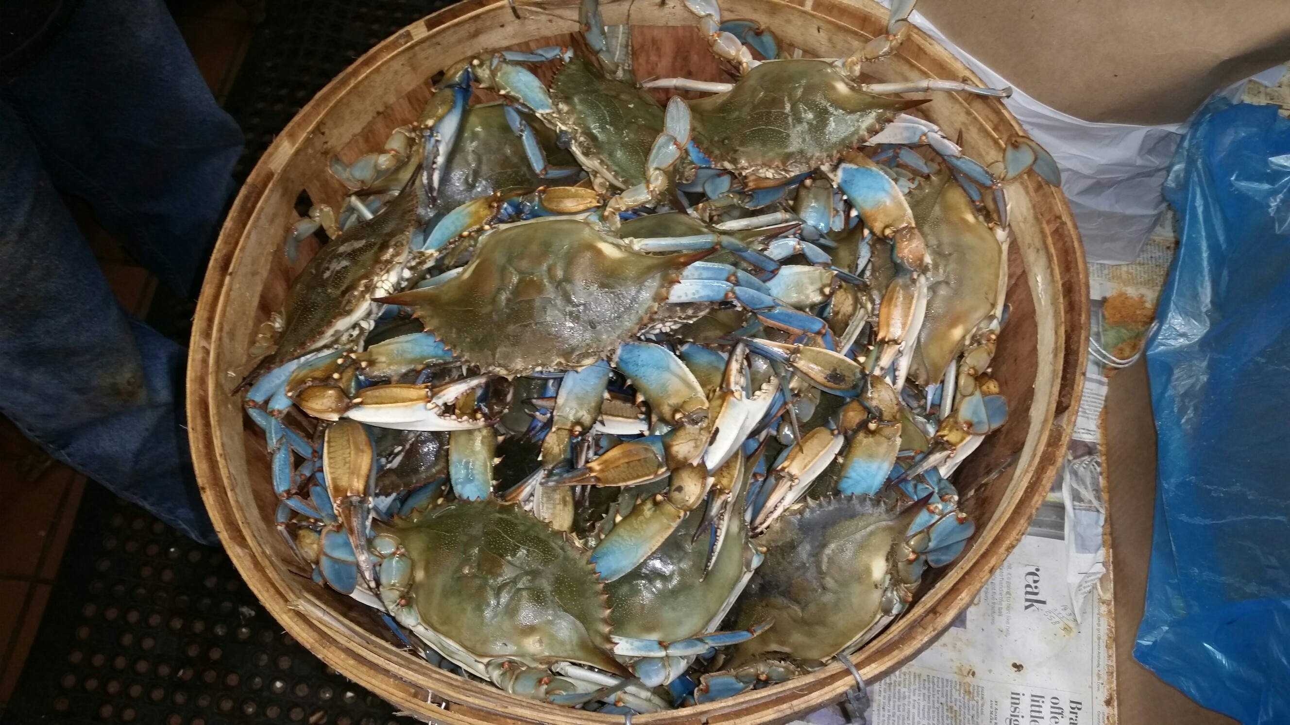 Photo credit: yellowpages