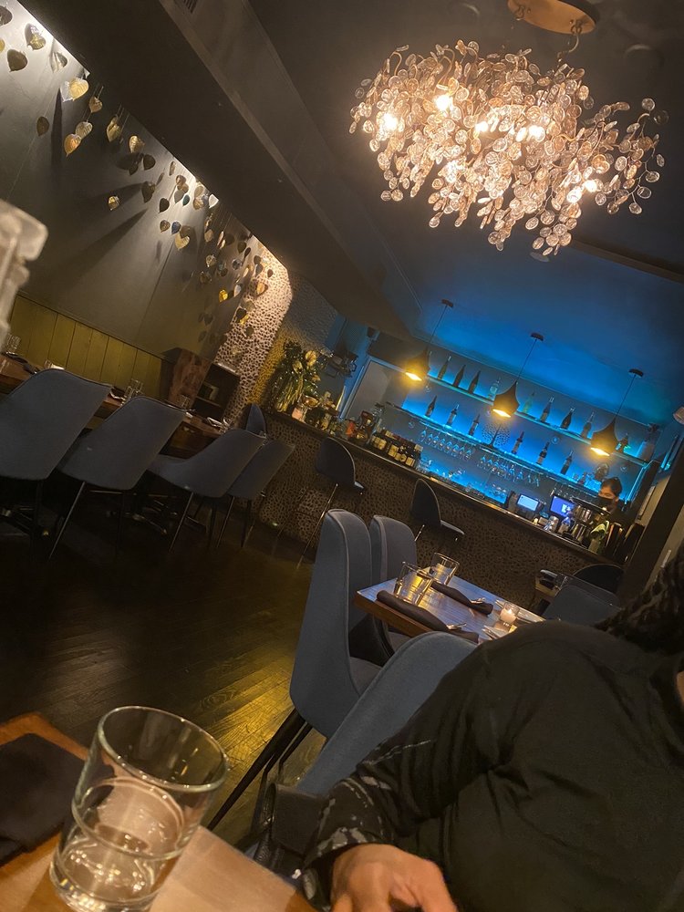 Bodhi Federal Hill 1444 Light St, Baltimore