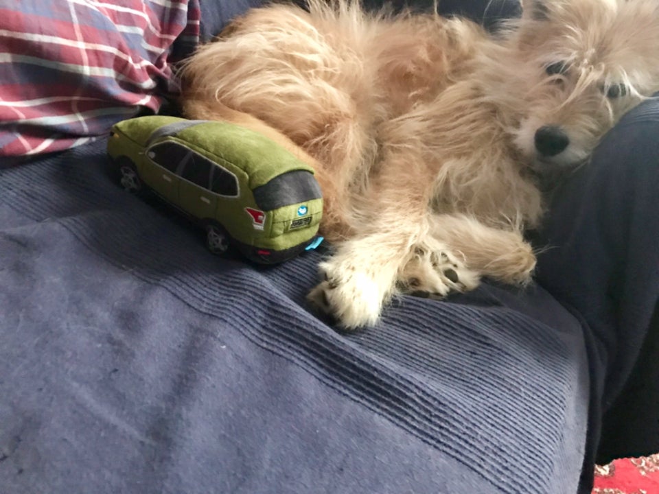 Best Restaurants in Bowie, MD Updated Spring 2020 Restaurantji