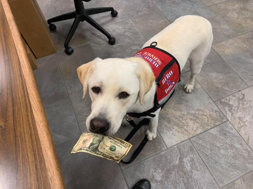 FITZGERALD TOYOTA SERVICE CENTER - Gaithersburg MD - Hours, Directions ...