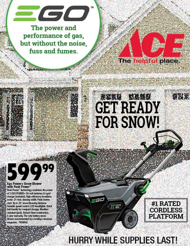 Ace Hardware Ann Arbor